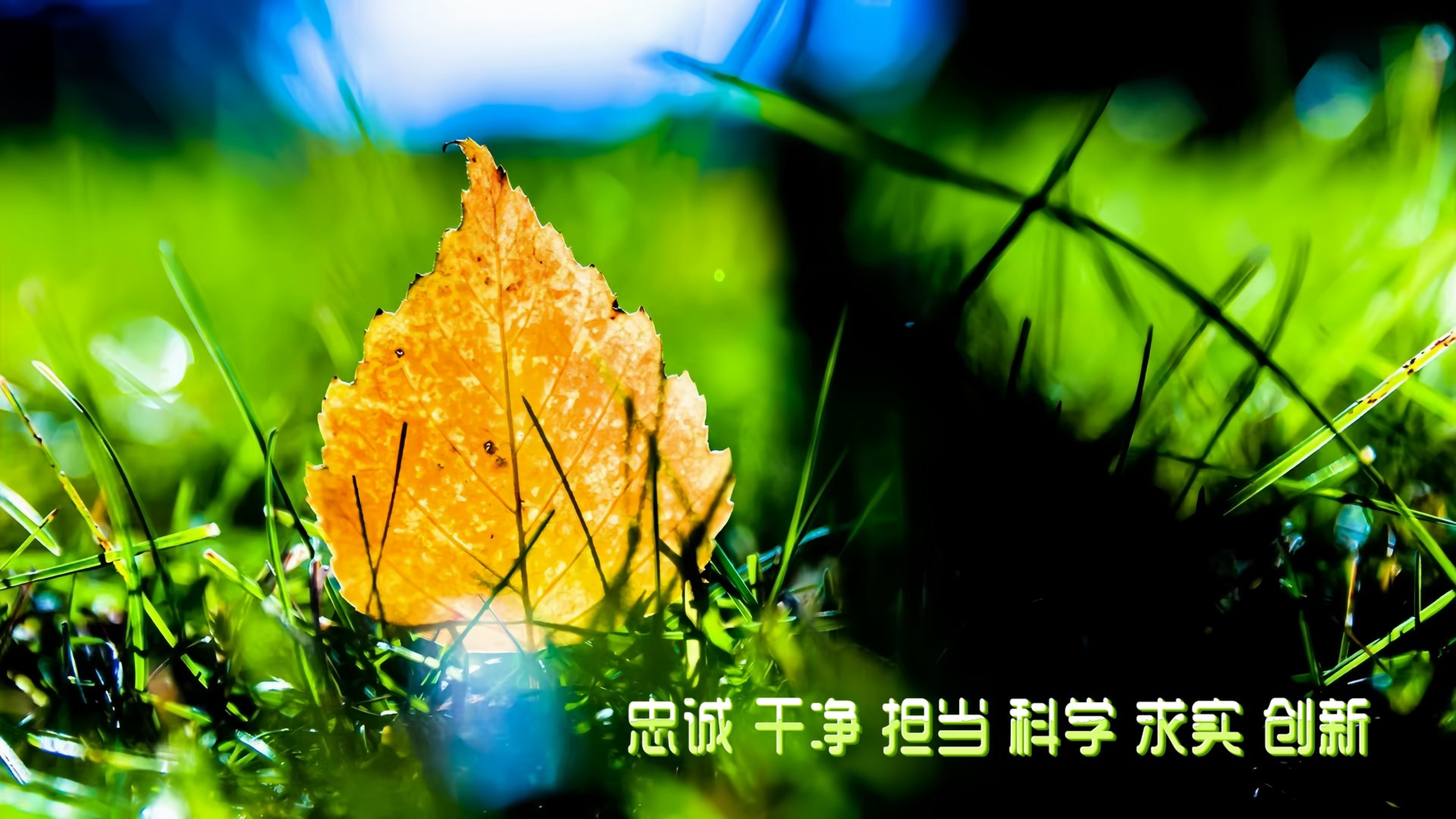 并结合2026级新生入学乐鱼官方在线