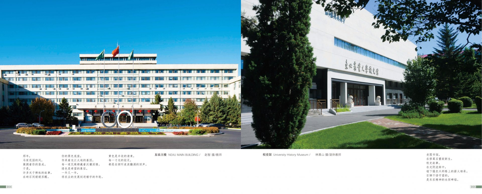 说明可能开启了方向锁定