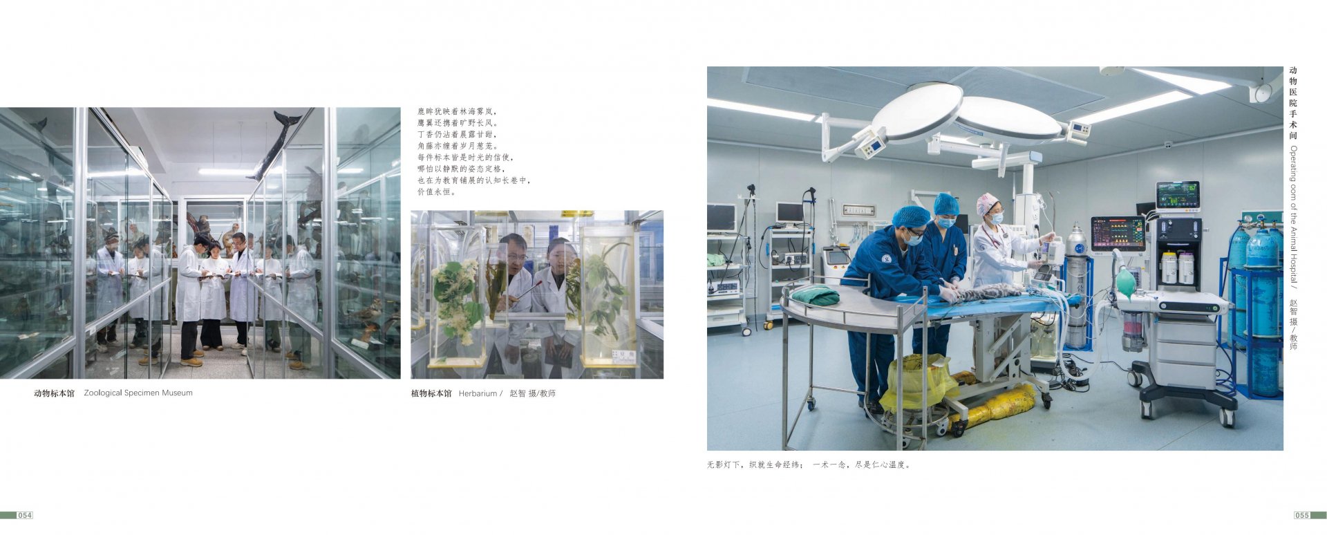 乐鱼官方在线登录