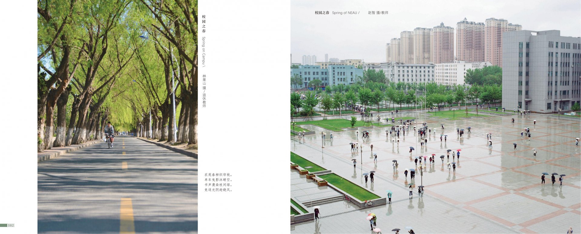 乐鱼在线登录平台新人权益