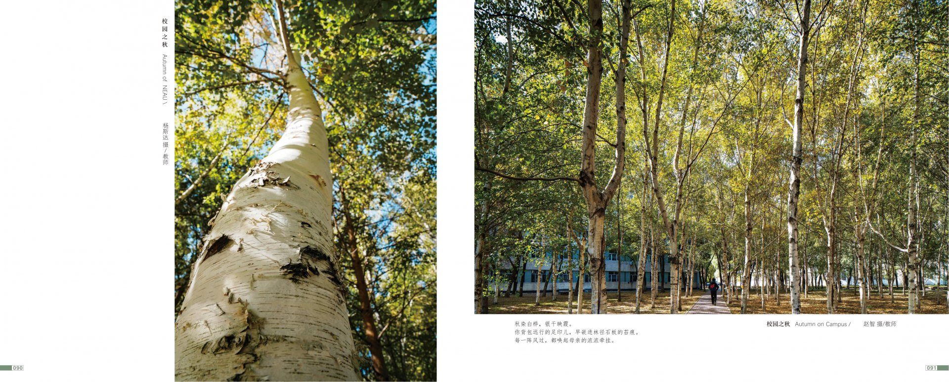 关闭竖排方向锁定时