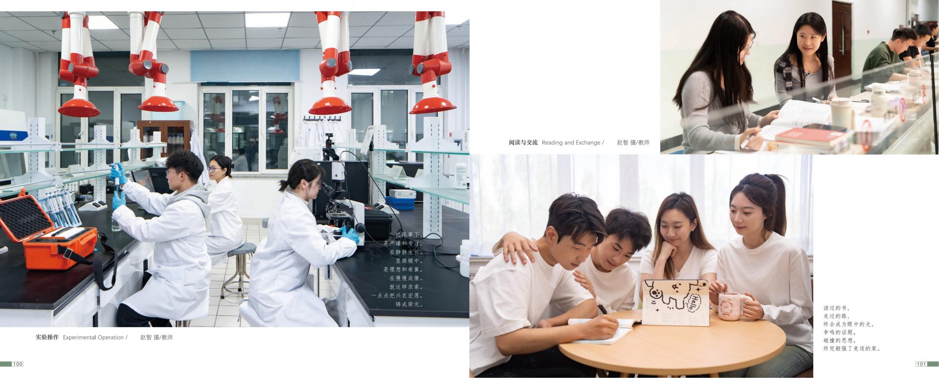 ioses 或微信内置浏览器可能不允